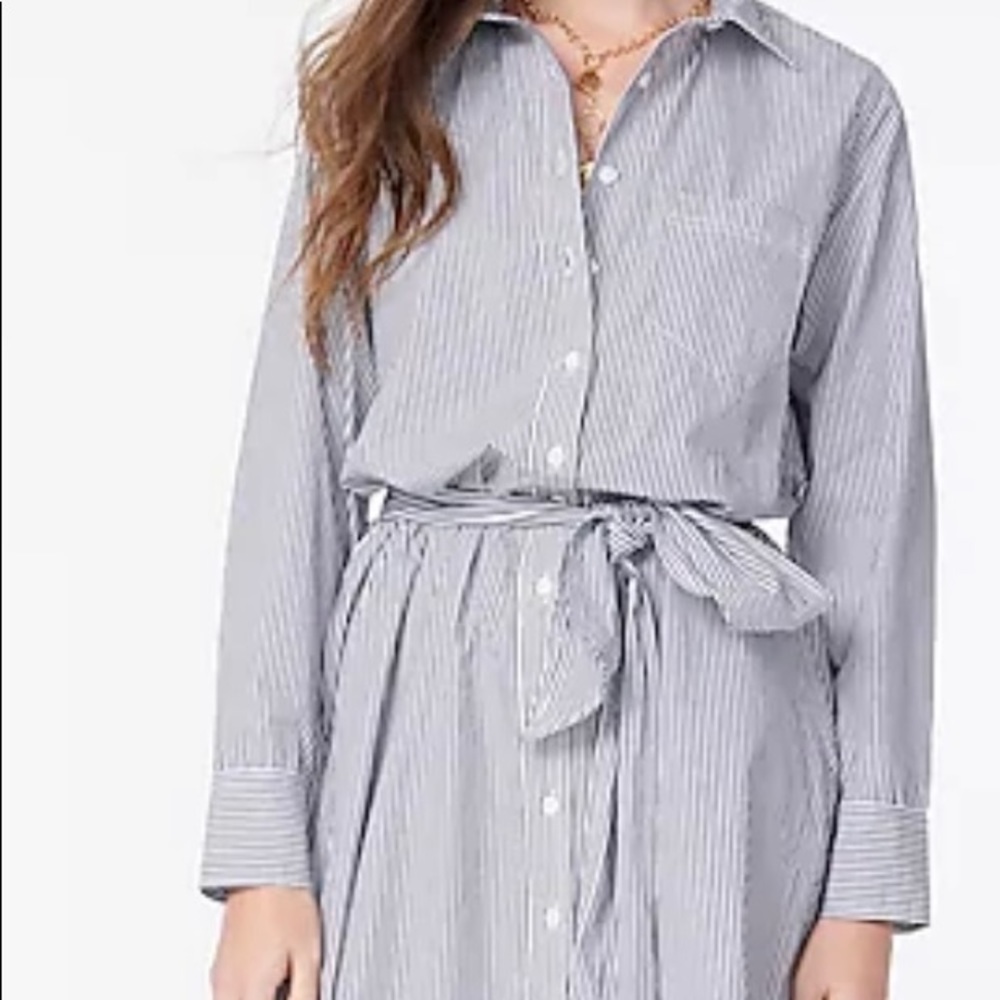 Petite Classic-fit crisp cotton poplin shirtdress